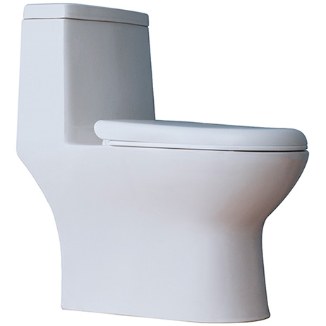 One piece toilets S600
