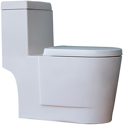 One piece toilets S601
