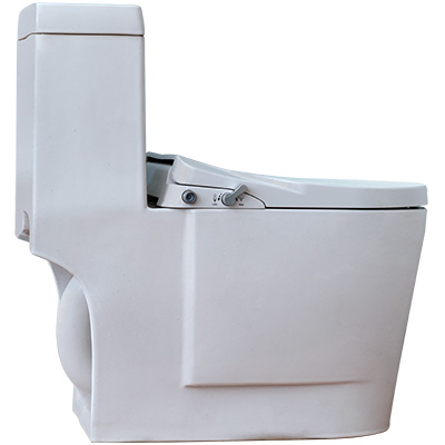 Bidet seat one piece toilet SB601